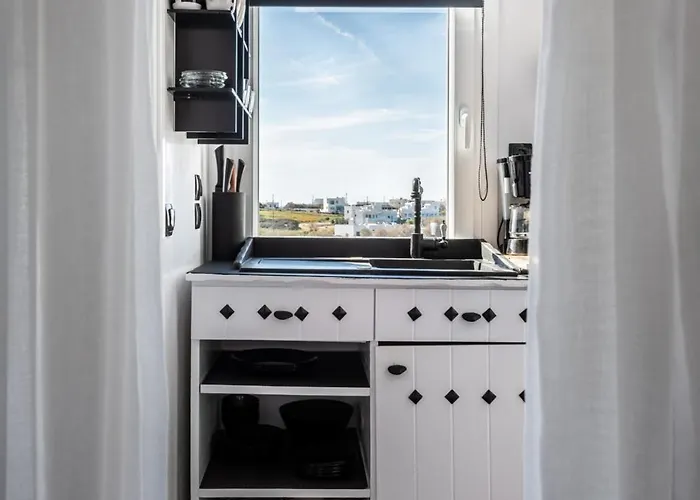 Captain Zeppos * פולוניה