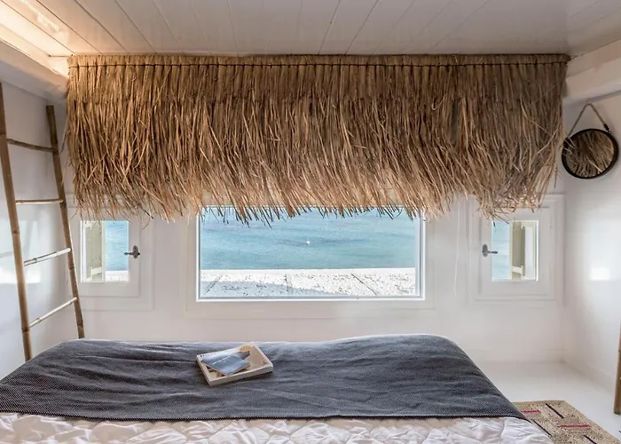 Captain Zeppos Daire Pollonia